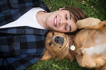 A Dog's Purpose, Heartwarming movie, Loyal canine companions, Emotional journey HD wallpaper