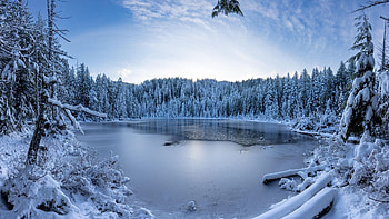 Lake Evan starting to ze over in Washington State, winter, snow, landscape, trees, water, usa, ice HD wallpaper