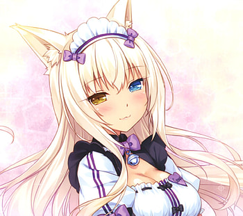 Nekopara, Cat Girl, Anime, Coconut (Nekopara), Heterochromia HD wallpaper