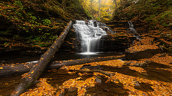 Falling Back To Waterfall, waterfall, water, nature HD wallpaper
