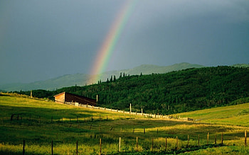 Landscape, Fields, Rainbow HD wallpaper