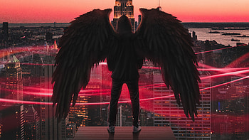 Flying High , wings, hoodie, artist, artwork, digital-art HD wallpaper