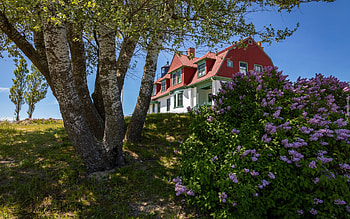 House at Spring, birches, lilacs, spring, house HD wallpaper
