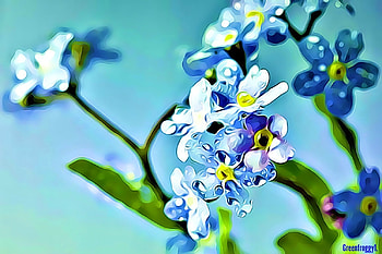 FOR GET ME NOTS, ART, FRACTAL, ABSTRACT HD wallpaper