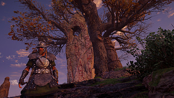 video game, Assassin's Creed Valhalla HD wallpaper