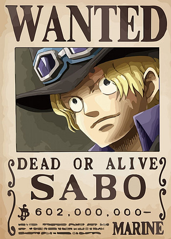 one piece wanted' Poster by WallArt. Displate. One piece comic, One piece manga, One piece, Usopp Bounty HD phone wallpaper