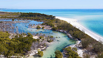 Fraser Island, Side, Locals, Travels HD wallpaper