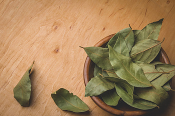 Dried leaves, Bay Leaves HD wallpaper
