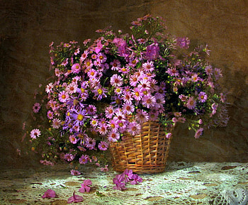 Dressed In Pink, asters, bouquet, impatients, doily, spring, basket, still life, wicker, pink, blossoms, cuts, girlie, flowers, romantic, lacey HD wallpaper