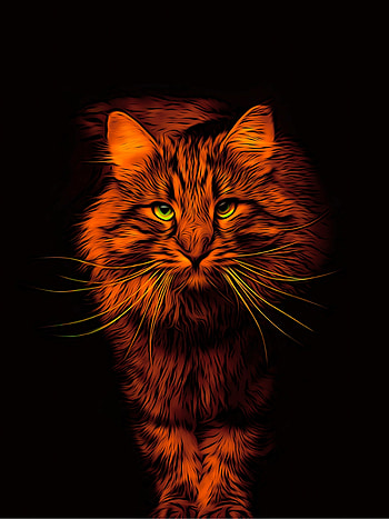 Cat, animal, digital art HD phone wallpaper
