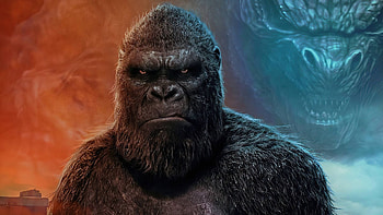 Godzilla vs. Kong, Godzilla vs. Kong , Powerful rivalry, Sunlit background HD wallpaper