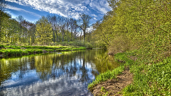 lovely forest river in spring, river, clouds, grass, spring, forest HD wallpaper