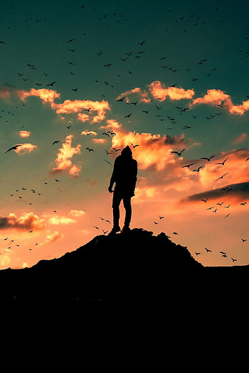 Alone sunset. Silhouette , Night sky , Shadow graphy, Boy Shadow HD phone wallpaper