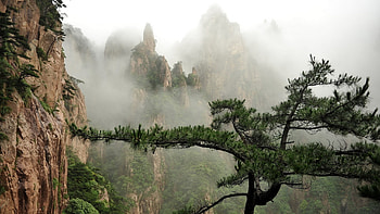 Fog on mountains, fog, mountains, forest, tree HD wallpaper