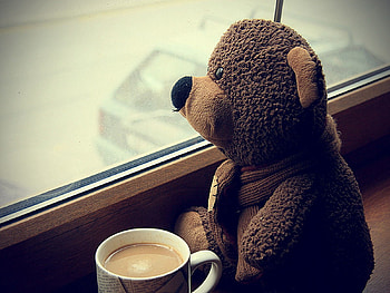 Teddy Bear, Coffee, Miscellanea, Miscellaneous, Cup, Toy, Window, Mood, Waiting, Expectation HD wallpaper