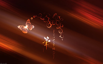 Butterflies, Background, Hieroglyph, Patterns HD wallpaper