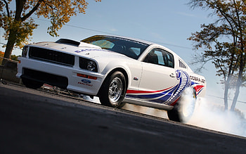Transport, Auto, Mustang HD wallpaper