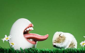 ??????????, b, a, c HD wallpaper
