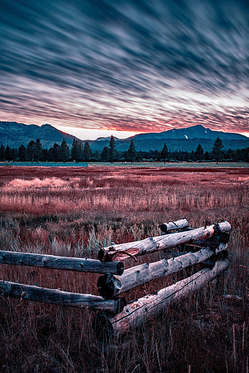 Nature, Grass, Field, Fence, Farm HD phone wallpaper