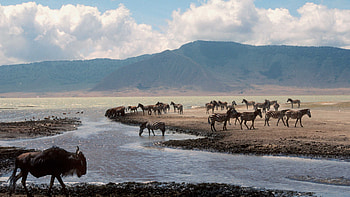 Ngorongoro Crater, Gallery HD wallpaper
