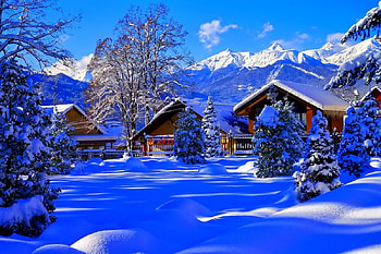 Winter, graphy, wonderful, snowflakes, snowflake, snow, trees, , sun, cold, beautiful, tree, nature, sky, lovely, splendor, ice HD wallpaper