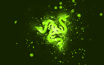 Razer lime logo, , lime neon lights, creative, lime abstract background, Razer logo, brands, Razer HD wallpaper