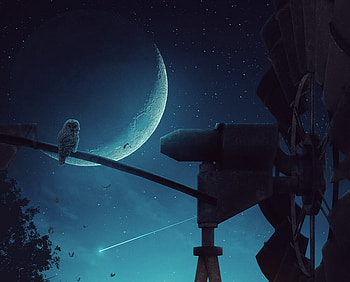 Owl, bufnita, sky, kasibante kenneth, night, blue, art, bird, moon, fantasy, pasari HD wallpaper