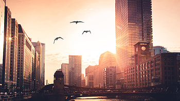 Morning City Rise Birds Flying, morning, city, birds, graphy HD wallpaper