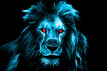 Animals, Eyes, Lion, Predator, Big Cat, Mane HD wallpaper