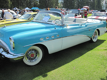 1952 Buick, blue, white, graphy, black, Buick, grass, Headlights, green, tires HD wallpaper