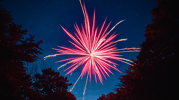Firework Lake , fireworks, graphy, lake, night HD wallpaper