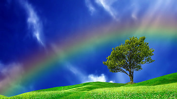 Rainbow In A Blue Sky HD wallpaper