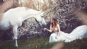 Unicorn, animal, girl, magic HD wallpaper