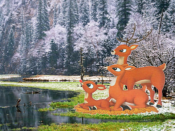 Renos, hay, grass, deer, christmas HD wallpaper