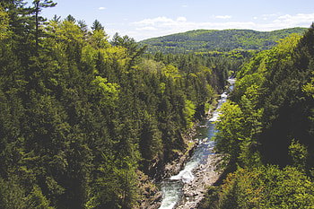 Nature, Rivers, Trees, Mountain, Creek, Brook HD wallpaper