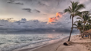 Captivating sunset over Punta Cana beach with clouds and palm trees, creating a serene tropical ambiance. HD wallpaper