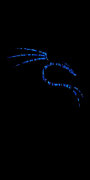 Kali Digital Rain, hacker, blue, it, scifi HD phone wallpaper