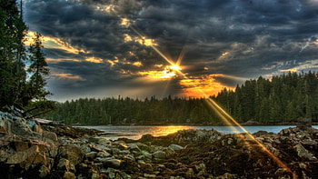 Sunset, nature, forest, lake HD wallpaper