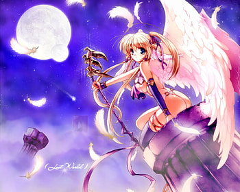 last world, cool HD wallpaper