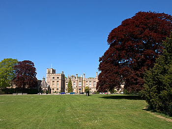 The Lawns Of Newstead, open, lawn, architecture, tress, medieval mansion HD wallpaper