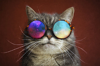 Cat Glasses Party Cool Painting, cat, animals, painting, artist, artwork, digital-art HD wallpaper