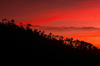 Trees, Sunset, Sky, Dark, Slope HD wallpaper