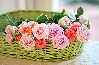 Flowers, Rose Flower, Rose, Basket, Tenderness HD wallpaper
