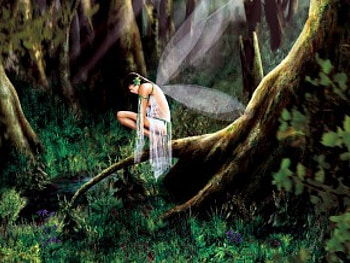 Fairy In The Woods, fairy, woods HD wallpaper