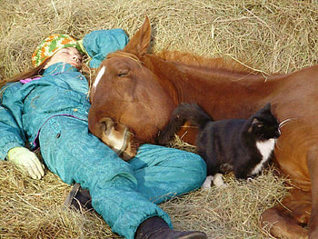 friends, cats, horses, child HD wallpaper