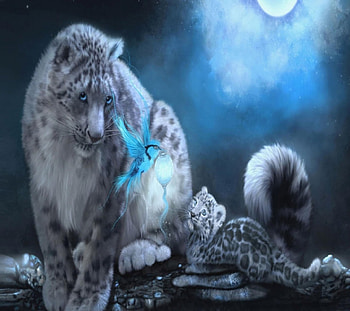 Snow Leopard, blue, cat, leopard, lion HD wallpaper