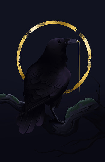 Art, Bird, Circle, Rook HD phone wallpaper