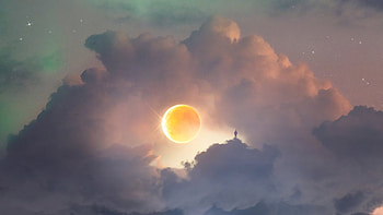 Whose Here To Stay, alone, artist, artwork, digital-art, outrun HD wallpaper
