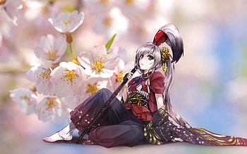 cherry blossom, Anime, girl, anime girl HD wallpaper