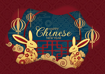 Year of the rabbit, holiday, Chinese New Year HD wallpaper